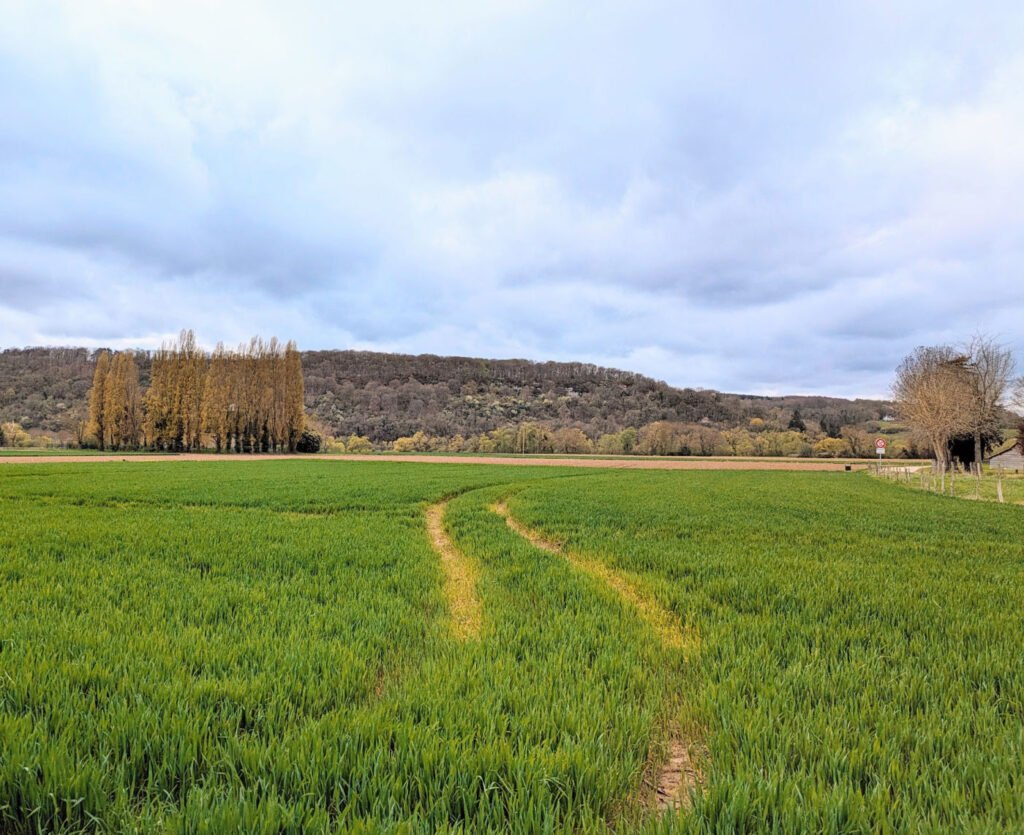 Aguilar de Campo Spain Walk.
