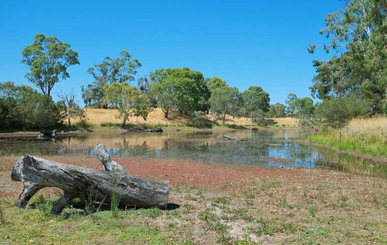 Plenty Gorge Wetland Area Walk in Summer.